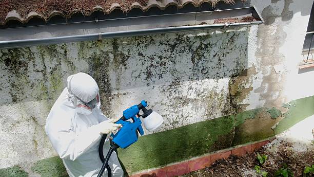 Top rated local Mold Remediation specialists in Glen Richey, PA
